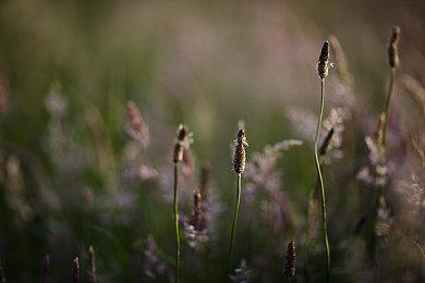《明末：渊虚之羽》女主服饰太性感 玩家：不得不玩了